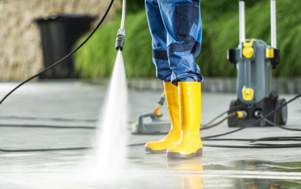 Best Seasonal Cleaning Services in Sneads Ferry, NC